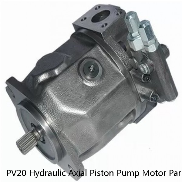 PV20 Hydraulic Axial Piston Pump Motor Parts Valve Plate